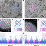 Les interactions magnétiques dans un nouveau catalyseur en alliage améliorent les performances des piles à combustible à hydrogène