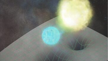 Les marées forcent la chaleur des naines blanches à des températures inattendues sur des orbites binaires serrées