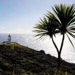 Les mers de Nouvelle-Zélande se réchauffent plus rapidement que la moyenne mondiale: Rapport