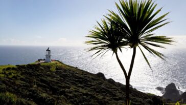 Les mers de Nouvelle-Zélande se réchauffent plus rapidement que la moyenne mondiale: Rapport