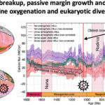 Les « milliards d'années ennuyeux » de la Terre ont créé les conditions d'une vie complexe, révèle une étude