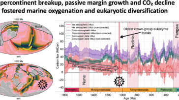 Les « milliards d'années ennuyeux » de la Terre ont créé les conditions d'une vie complexe, révèle une étude