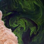 Les modèles climatiques mondiaux ont besoin du cycle de l’azote – en totalité