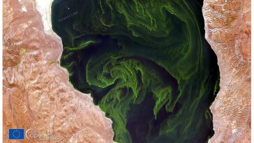 Les modèles climatiques mondiaux ont besoin du cycle de l’azote – en totalité