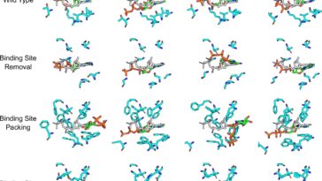 Les modèles d’IA pour la conception de médicaments échouent en physique