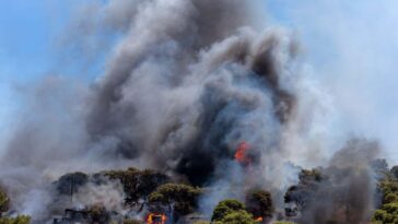 Les niveaux de CO2 dans l’atmosphère terrestre ont augmenté d’un montant record en 2024