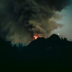 Les niveaux mondiaux de dioxyde de carbone ont atteint un niveau record en 2024 (rapport)