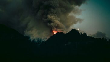 Les niveaux mondiaux de dioxyde de carbone ont atteint un niveau record en 2024 (rapport)