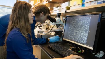 Les protéines synthétisées du sang de poisson pourraient empêcher les aliments et les médicaments de geler