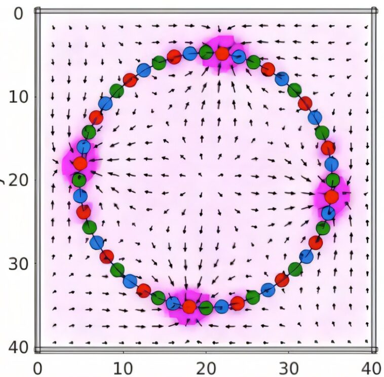 Les réseaux chimiques peuvent imiter les systèmes nerveux pour alimenter le mouvement des matériaux mous