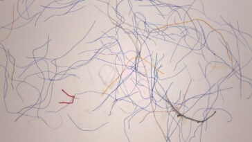 Les sèche-linge domestiques sont une source importante de pollution par les microfibres, selon une étude