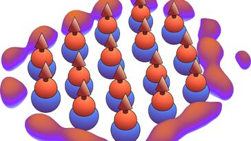 Les simulations suggèrent de nouveaux états de matière fortement corrélés dans les molécules polaires ultrafroides