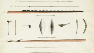 Les sociétés à petite échelle du monde entier présentent un modèle universel en matière de spécialisation des outils