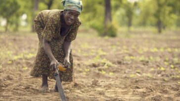 Les systèmes de connaissances autochtones peuvent être des outils utiles dans le kit du G20 sur le changement climatique