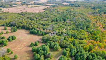 Les terres cultivées mises hors service offrent un espoir de stockage du carbone