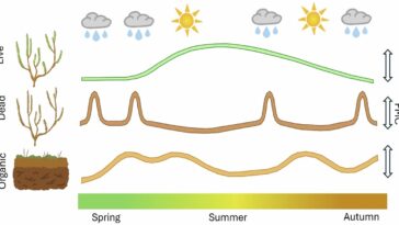Les vagues de chaleur au Royaume-Uni submergent les mesures de protection écologiques naturelles et augmentent le risque d'incendies de forêt