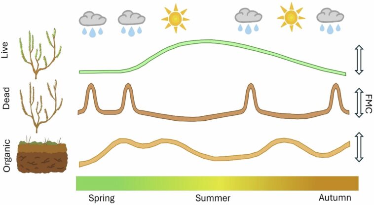 Les vagues de chaleur au Royaume-Uni submergent les mesures de protection écologiques naturelles et augmentent le risque d'incendies de forêt Les vagues de chaleur au Royaume-Uni submergent les mesures de protection écologiques naturelles et augmentent le risque d'incendies de forêt
