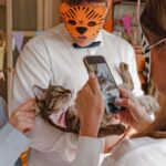 Les vidéos `` drôles '' des animaux de compagnie stressés et effrayés ne sont pas de rire