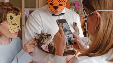 Les vidéos `` drôles '' des animaux de compagnie stressés et effrayés ne sont pas de rire