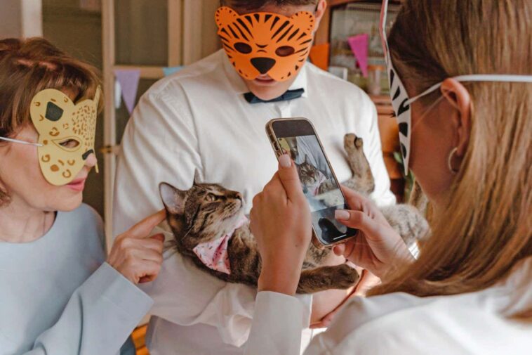 Les vidéos `` drôles '' des animaux de compagnie stressés et effrayés ne sont pas de rire