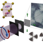 L’imagerie aux rayons X à l’échelle nanométrique révèle un altermagnétisme global dans MnTe