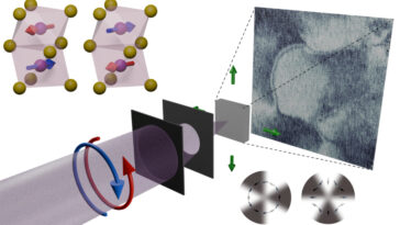 L’imagerie aux rayons X à l’échelle nanométrique révèle un altermagnétisme global dans MnTe