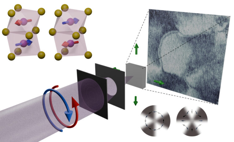 L’imagerie aux rayons X à l’échelle nanométrique révèle un altermagnétisme global dans MnTe