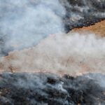 L’objectif mondial visant à mettre fin à la déforestation est loin d’être atteint, selon des experts