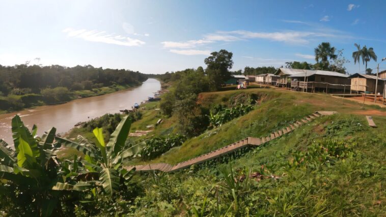 Niveaux de plomb inquiétants détectés dans la population autochtone de l'Amazonie Niveaux de plomb inquiétants détectés dans la population autochtone de l'Amazonie