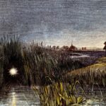 Nous pouvons enfin savoir ce qui cause à Will-o'-the-wisps