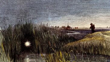 Nous pouvons enfin savoir ce qui cause à Will-o'-the-wisps