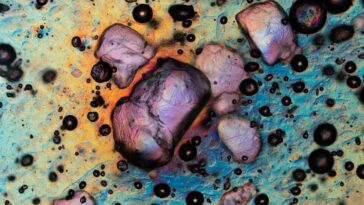 Nous pouvons utiliser du sucre ordinaire dans la recherche de matière noire