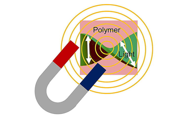 Nouvelle méthode pour contrôler la rotation de Faraday dans les polymères conducteurs