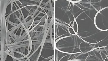 Plier les cristaux biogéniques naturellement sans forces extérieures