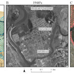 Plus de la moitié des zones humides de la rivière Tamar ont disparu depuis la colonisation européenne, révèle une étude