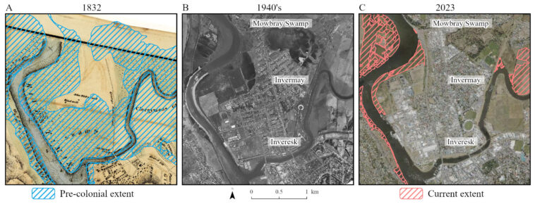 Plus de la moitié des zones humides de la rivière Tamar ont disparu depuis la colonisation européenne, révèle une étude