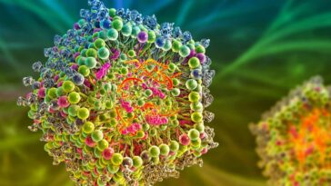 A computer illustration of a cross-section of a lipid nanoparticle carrying the mRNA of a virus (orange strands)