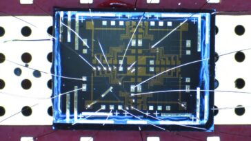 Preuve directe de l'effet tunnel universel Anyon dans un liquide chiral de Luttinger révélée dans une expérience en mode bord