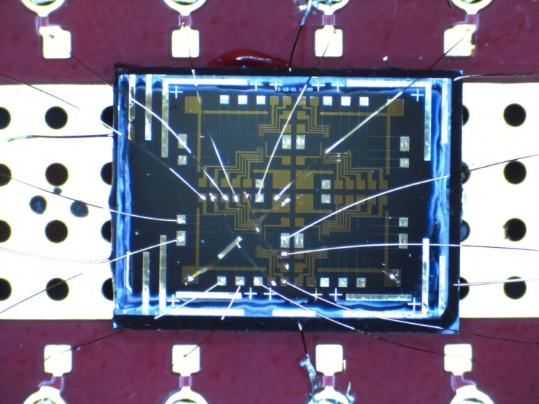 Preuve directe de l'effet tunnel universel Anyon dans un liquide chiral de Luttinger révélée dans une expérience en mode bord