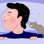 Que pourrait essayer l'humble souris de maison?