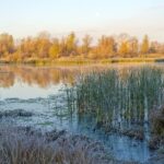 Selon l'étude, le suivi de la fréquence des inondations pour protéger les communautés, selon l'étude