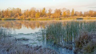 Selon l'étude, le suivi de la fréquence des inondations pour protéger les communautés, selon l'étude