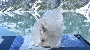 Selon une étude, le retrait des glaciers pourrait envoyer moins de nutriments à l'océan