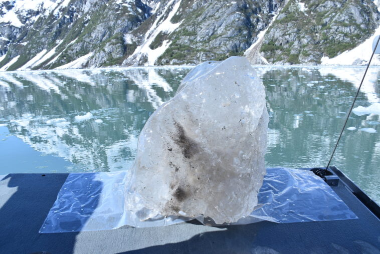 Selon une étude, le retrait des glaciers pourrait envoyer moins de nutriments à l'océan