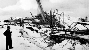 Shackleton savait que son navire condamné n'était pas le plus fort avant de naviguer