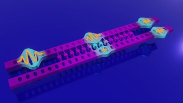 Splitter phonon basé sur des puces rapproche les réseaux quantiques hybrides de la réalité