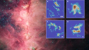 Tir à la corde cosmique : la gravité remodèle les champs magnétiques des amas d'étoiles