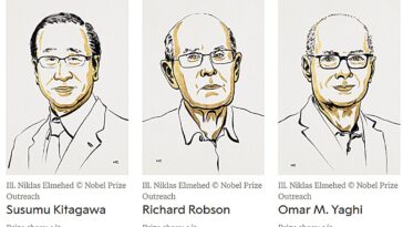 Trois scientifiques remportent le prix Nobel de chimie pour le développement de cadres métal-organiques