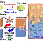 UN 'relevé de stick-peel' adhésif basé sur la chimie de verrouillage et de clé UN 'relevé de stick-peel' adhésif basé sur la chimie de verrouillage et de clé