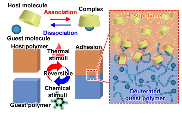 UN 'relevé de stick-peel' adhésif basé sur la chimie de verrouillage et de clé UN 'relevé de stick-peel' adhésif basé sur la chimie de verrouillage et de clé